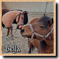 Hobby Horse Bella klein