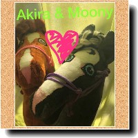 HobbyHorse-Akira-Moony.jpg